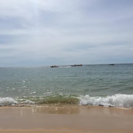 Patio Da Varzea 펜션 알부페이라